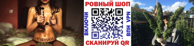 Купить закладку A-PVP  Канабис  Меф  ГАШ  Нефтекумск