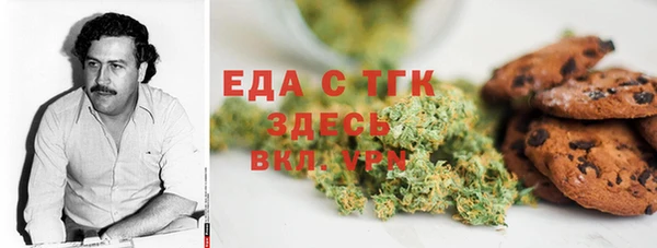 индика Аркадак