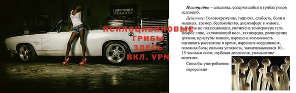 СК Балабаново