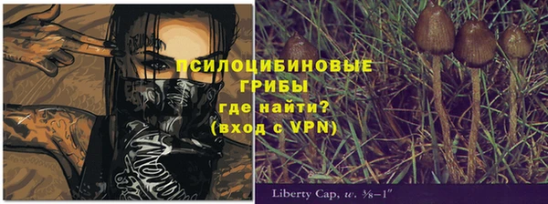 бутират Арсеньев