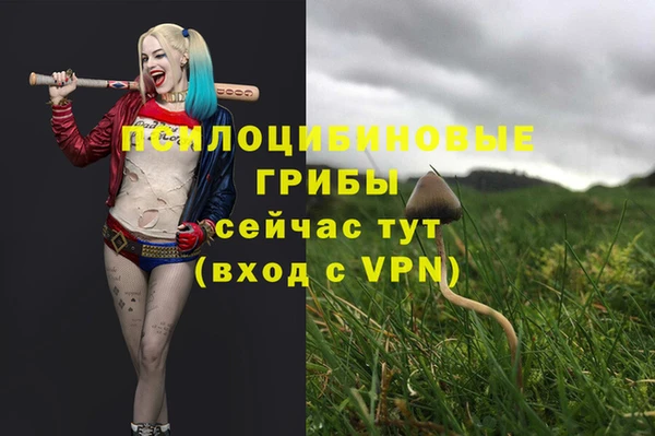 индика Аркадак