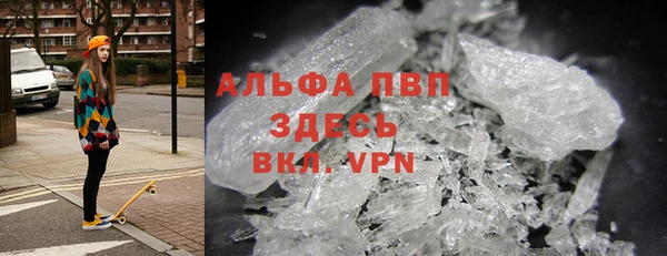 индика Аркадак