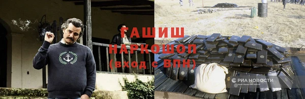 индика Аркадак
