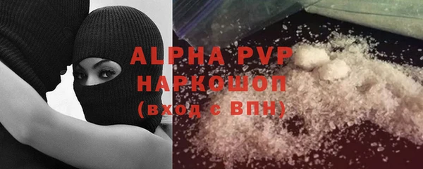 индика Аркадак