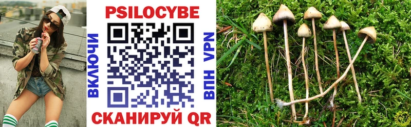 Псилоцибиновые грибы GOLDEN TEACHER  Купить где  Нефтекумск 